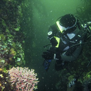 Anne at Chase Reef