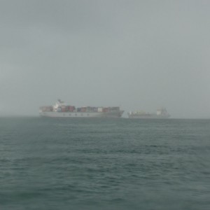 Ship coming through Port Phillip Bay