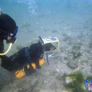 scuba-diving-dog