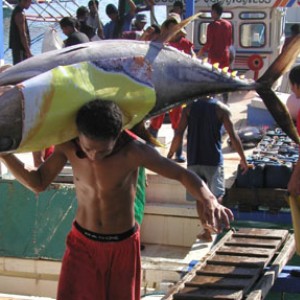 Unloading the catch