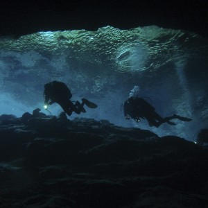 Into the Cenote..the stragglers