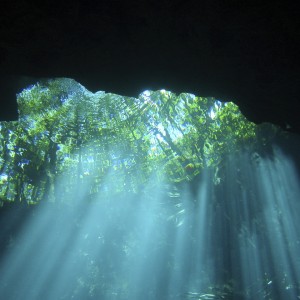 Cenote .. Glimpse of light before dropping