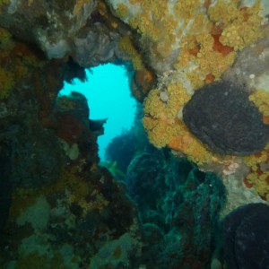 Swim throughs at Lonsdale Arches