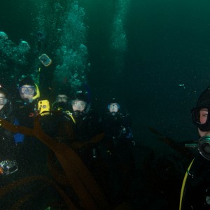 diver group shot