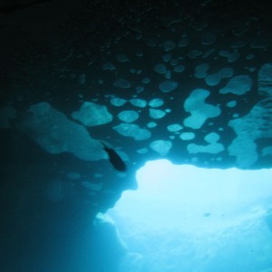 vortex cavern roof