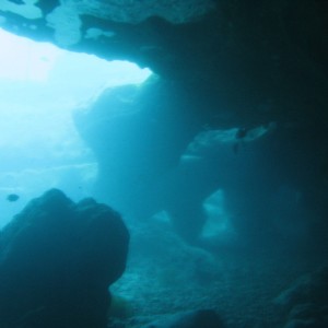 vortex springs cavern