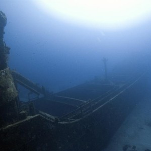 Curacao wrecks - Superior Producer