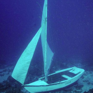 Curacao wrecks - a lucky find (one week old wreck)