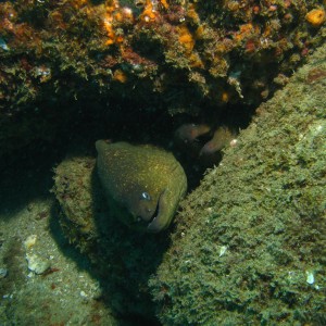 cabo-underwater-30