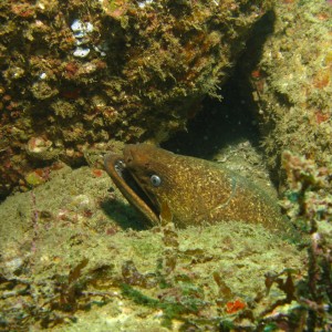 cabo-underwater-19a