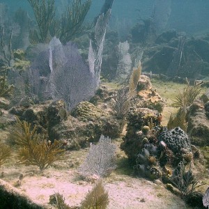 Wreck of the Benwood