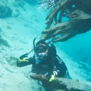 Florida Spring Diving