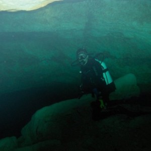 Florida Spring Diving