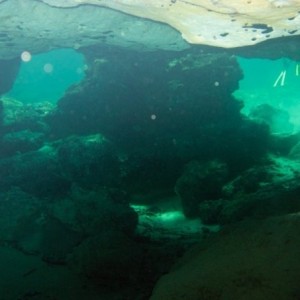 Florida Spring Diving