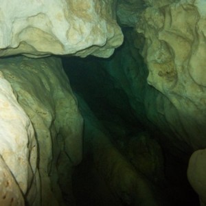 Florida Spring Diving