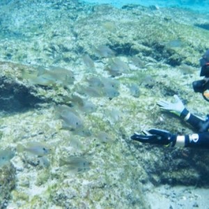 Florida Spring Diving