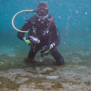 Florida Spring Diving