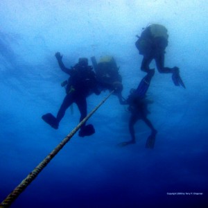 Rebreather Divers Ascending