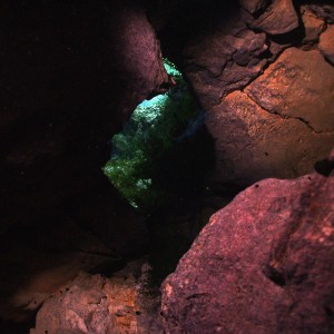 Cypress_cavern_look_through