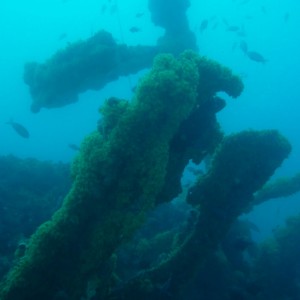 Coogee wreck - great viz!