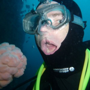 Buddy about to sample a local chordate