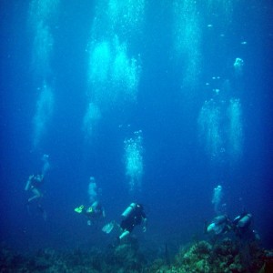 Divers diving