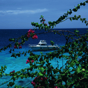 Dive-Boat-Curacao