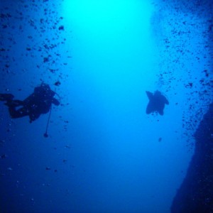 DIVING IN MALPELO COLOMBIA-ITS AMAZING