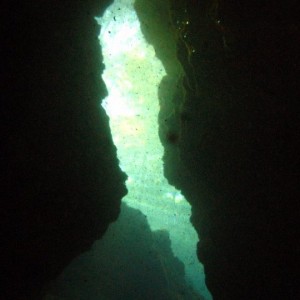 Chipola River Cave