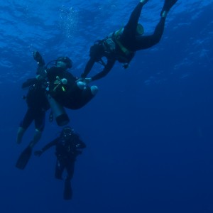 Divers with Instructors