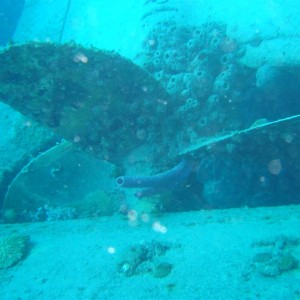 Paradise Divers Bonaire Trip