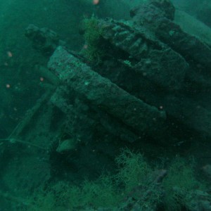 DAN Benefit Dive on the U-352 Submarine