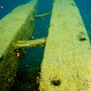 Tobermory Wreck diving King/Newaygo