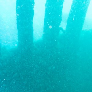 Tobermory Wreck diving King/Newaygo