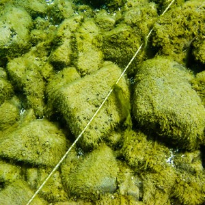 Tobermory Wreck diving King/Newaygo