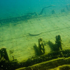 Tobermory Wreck diving King/Newaygo