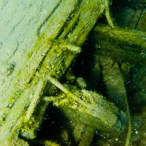 Tobermory Wreck diving King/Newaygo