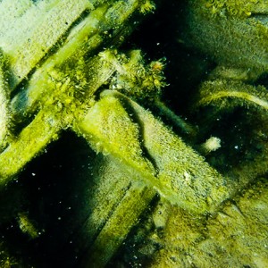 Tobermory Wreck diving King/Newaygo