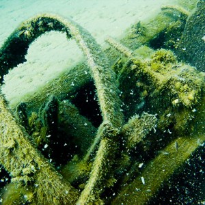 Tobermory Wreck diving King/Newaygo