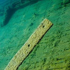 Tobermory Wreck diving King/Newaygo