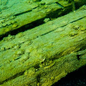 Tobermory Wreck diving King/Newaygo