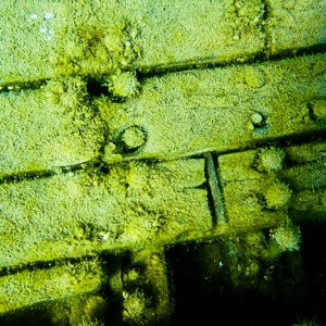 Tobermory Wreck diving King/Newaygo