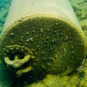 Tobermory Wreck diving King/Newaygo