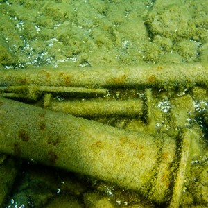 Tobermory Wreck diving King/Newaygo