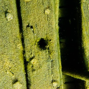 Tobermory Wreck diving King/Newaygo