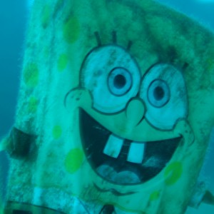 Sponge Bob Square Pants