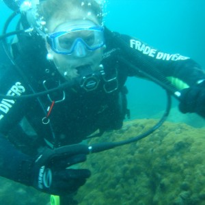 Diving Brazil