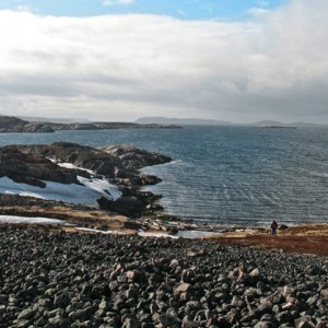 Barents Sea