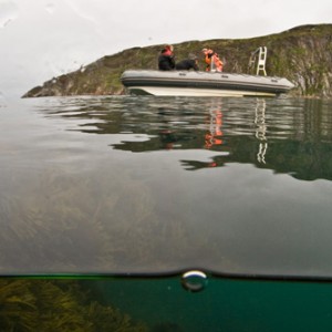 Barents Sea