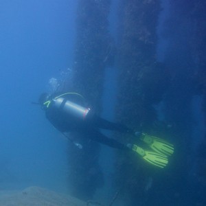 Relaxing Under Pertamina Pier